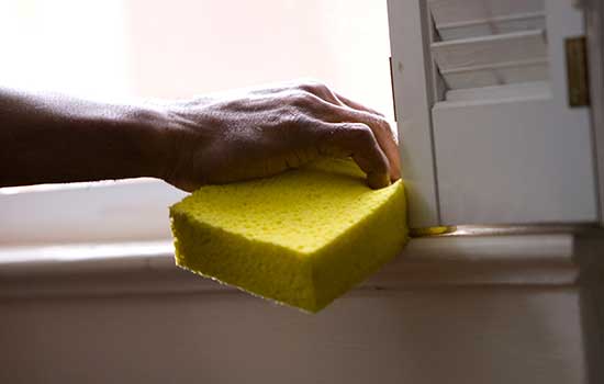 Safe ways to prevent household pests
